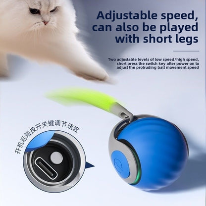 Pet Gravity Protrusion Ball, Cats And Dogs Are All Applicable, Super Suction, Stimulate The Nature Of Cute Pets To Hunt, Fun Interaction Super Love